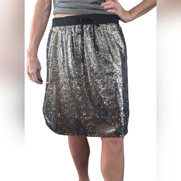 Harlyn for Anthropologie Metallic Silver Sequin Party Drawstring Skirt Size M - Picture 1 of 12
